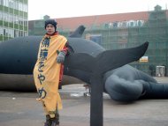 'Stoppt den Walfang' auf Japanisch